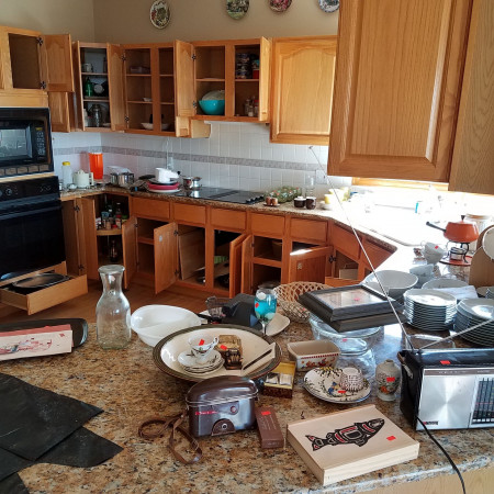 kitchen cleanout