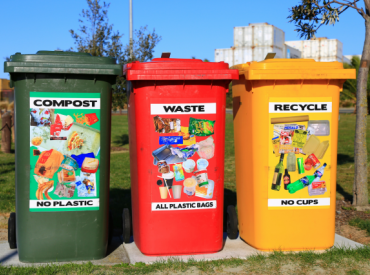 How to Recycle and Why You Should Do It