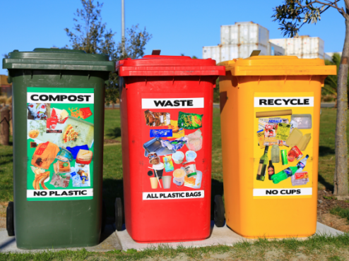 How to Recycle and Why You Should Do It